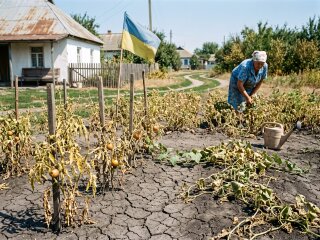 посуха город суха земля врожай