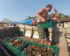 Одесские чиновники нашли себе кормушку на миллион