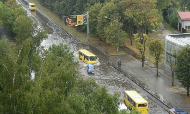 Понад 40 населених пунктів Львівщини знеструмлено через негоду