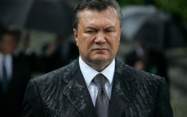 Стало відомо, куди витратять гроші Януковича