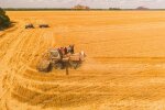Польові роботи, збирання врожаю / фото: Freepik