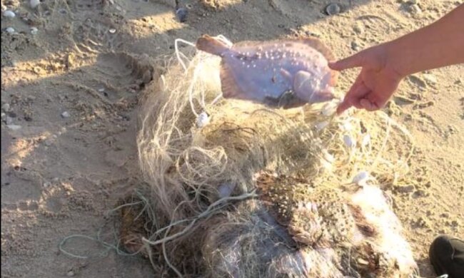 незаконний вилов риби