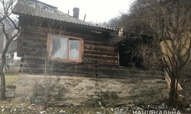 На Закарпатье разъяренная фурия уничтожила дом бывшего, подожгла и убежала - мастер спорта по ссорах