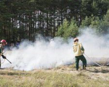 Держлісагентству вдалося вирішити проблему захисту лісів від пожеж 