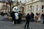Львів мітить на першість у престижному рейтингу: "Столиця Європи"