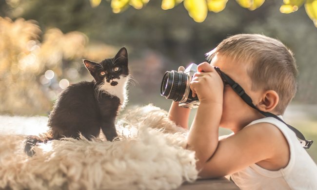 Лечим осеннюю депрессию котами: уникальные возможности домашних животных