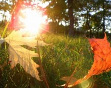 На выходных в Украине прогнозируют до + 32 ° С