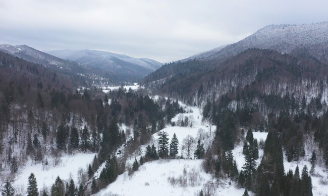 У Карпатах ледь не померла туристка, рятувальники - красунчики: "Її хребет..."