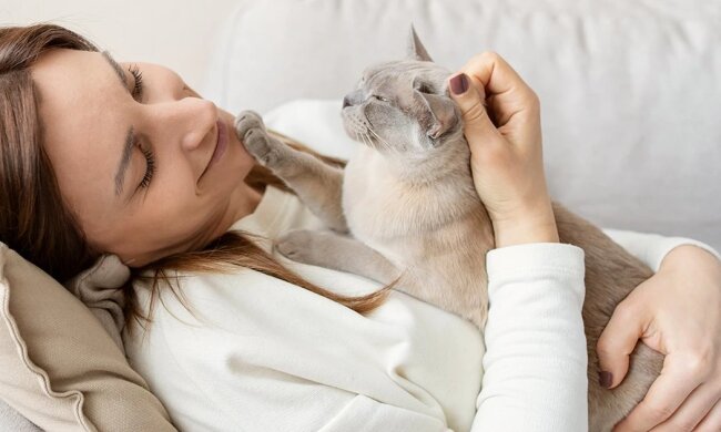 Кот