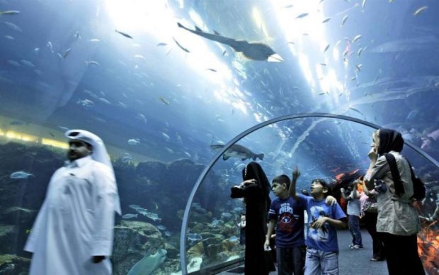 Коварный аквариум появится в Дубае