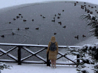 Украинцы, снег, зима, фото из соцсетей