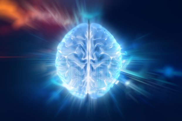 Нейрологи раскрыли новые тайны мозга: как работает электричество у нас в голове
