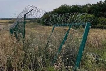 "Стіна Яценюка". Фото: скриншот з відео