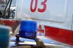 Львів'янина укусила змія