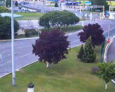 Закарпатські митниці "зачистили" до приїзду гаранта