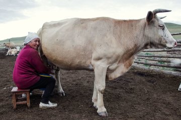 12 августа: какой сегодня праздник - история и традиции