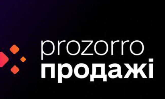 "Прозорро.Продажі", скріншот: Facebook