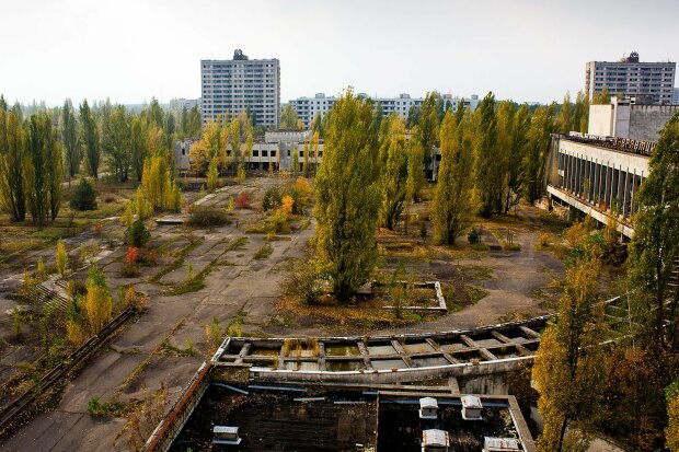 Чернобыль в России, Чупакабра в США, реплики Lamborghini за копейки: шокирующие новости от Big Bang News