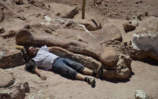 Идеальный скелет доисторического гиганта попался строителям
