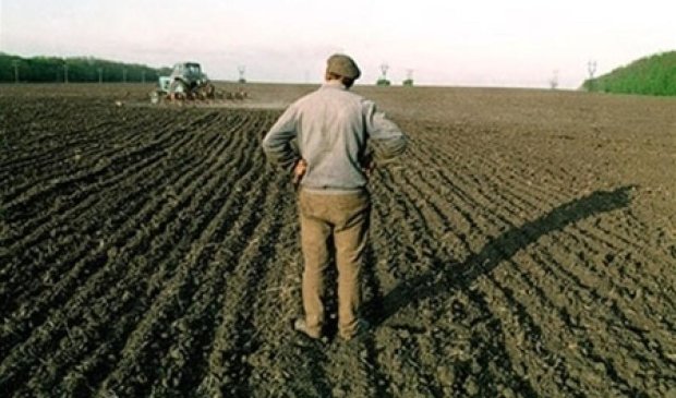 МВФ требует отменить налоговый спецрежим аграриям
