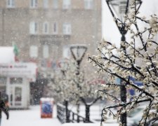 Завалений снігом Крим шокував мережу