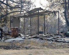 Наслідки лісової пожежі на Вінниччині (фото)