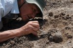 Знайдено унікальний зразок шкіри стародавньої рептилії: вчені невимовно щасливі