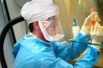 Мчить до України: екзотичний вірус масово вбиває європейців