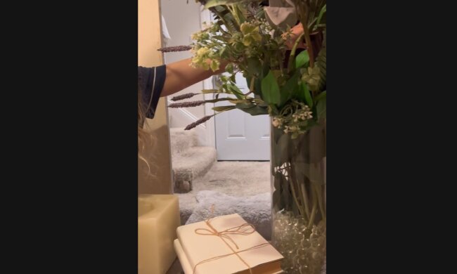 Апартаменти, скріншот: TikTok