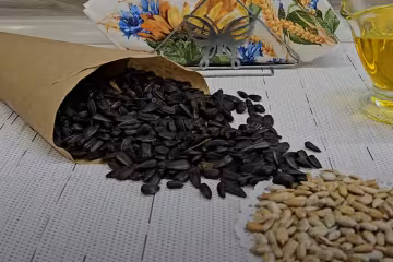 Семечки подсолнечника. Фото: скрин youtube