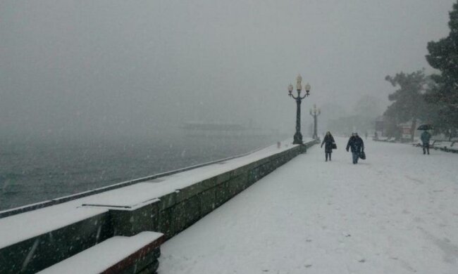 Легалізація "наркотиків": кияни показали, до чого призвела медреформа