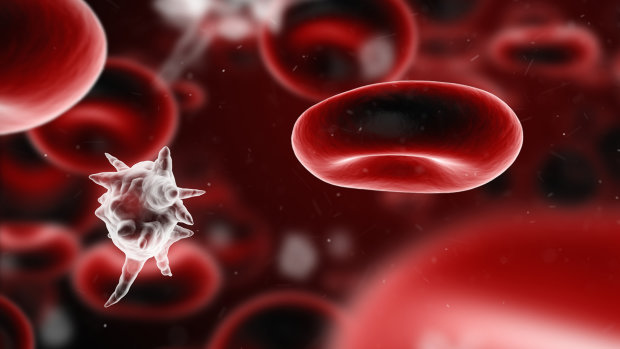 Рідкісні клітини підказали лікарям, як зупинити зараження крові