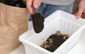 Ґрунт, город, зображення з вільних джерел