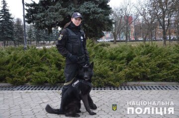 Службовий пес допоміг знайти чоловіка, фото: Facebook Поліція Київської області