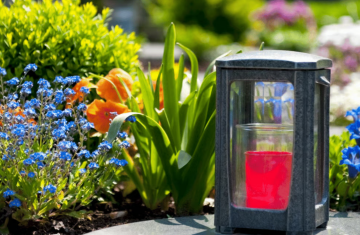 Квіти, цвинтар, зображення з вільних джерел