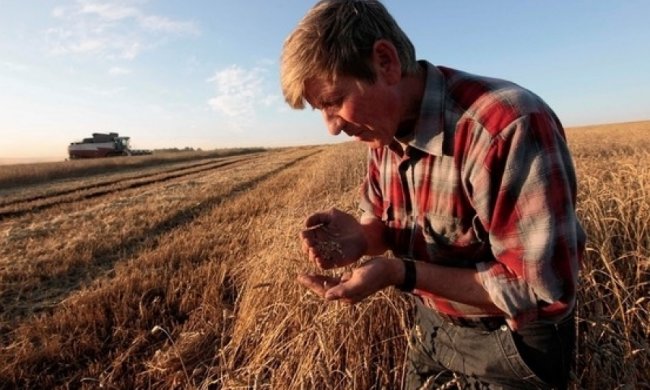 Мінагропрод просить перекрити постачання продуктів з окупованих земель