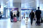 Скрин, видео YouTube аеропорт