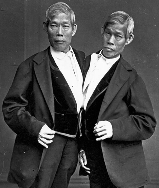 Чанг і Енг Банкер, фото: вільне джерело