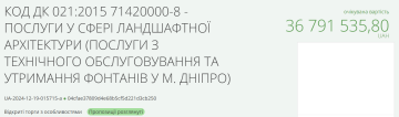 Тендер на обслуговування фонтанів / фото: скриншот Prozorro