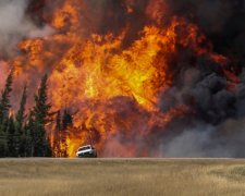 Зажигательная традиция: Россию опять накрыли лесные пожары