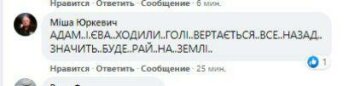 Комментарий поклонника, скриншот: Facebook