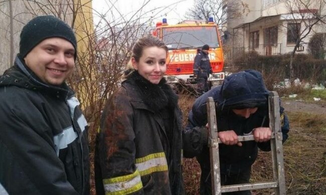 Волонтери показали, як витягли собаку із смертельної пастки
