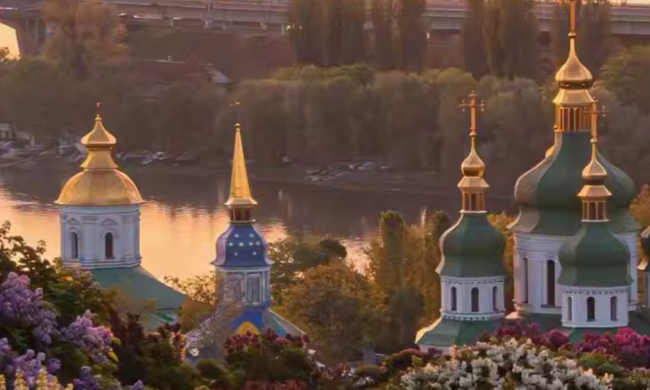 Навіщо готувати картоплю 17 травня і чому не можна йти в ліс сьогодні: прикмети та заборони на Андроніка та Юнію