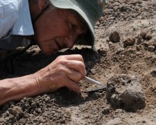 Археологи нашли странное существо из прошлого: маленькая голова с гигантским туловищем