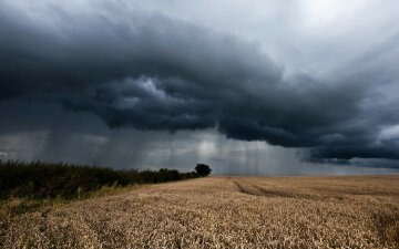 Погода на 5 жовтня: дощі підмочать настрій на вихідних