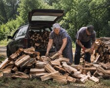 Дрова для отопления: цены и где купить