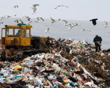 Окупанти перетворили популярний кримський курорт на смітник: фото