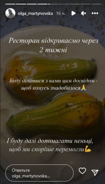 Скріншот із Insta Stories, Ольга Мартиновська