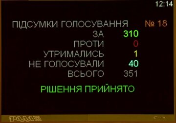 Верховная Рада приняла проект закона о компенсации на электрическую энергию