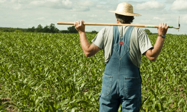 Українські селяни серед найбідніших: у Зеленського знають, як це виправити